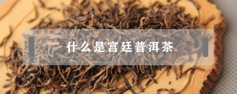 什么是宫廷普洱茶（宫廷级别普洱茶是什么意思）