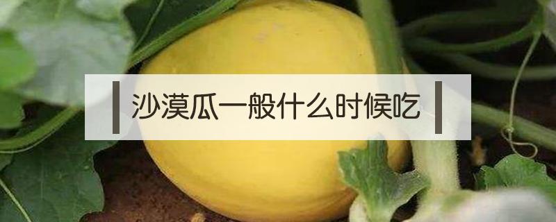 沙漠瓜一般什么时候吃（沙漠西瓜为什么不能吃）