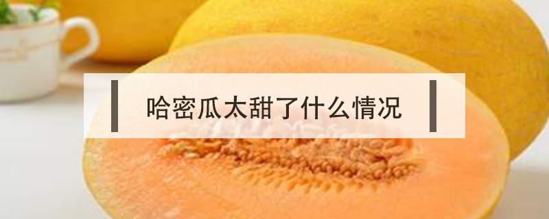 哈密瓜太甜了什么情况 哈密瓜超甜是什么原因