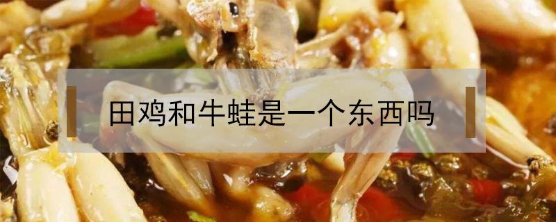 田鸡和牛蛙是一个东西吗