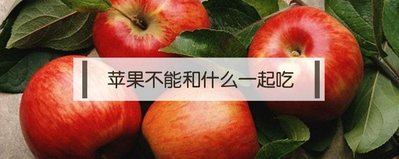 苹果不能和什么一起吃（苹果不能和什么一起吃同食）