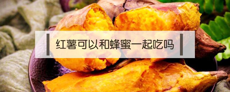 红薯可以和蜂蜜一起吃吗 红薯和蜂蜜能一起吃吗?