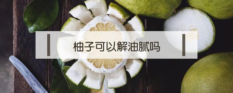 柚子可以解油腻吗 柚子可以解油腻吗?