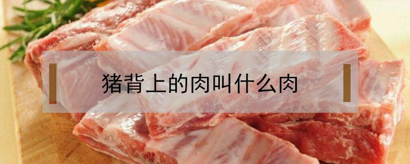 猪背上的肉叫什么肉（猪背上的瘦肉叫什么）