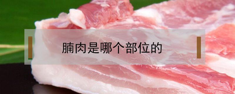 腩肉是哪个部位的 腩肉是哪个部位的好吃