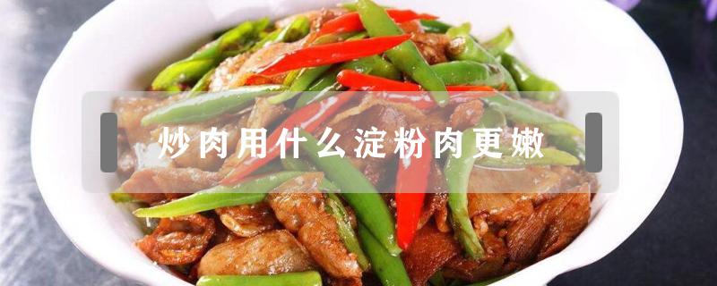 炒肉用什么淀粉肉更嫩 炒肉用什么淀粉肉更嫩玉米粉还是土豆粉