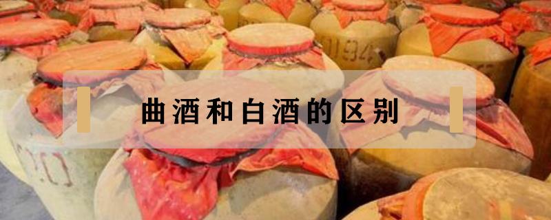 曲酒和白酒的区别(曲酒和白酒一样吗)