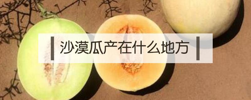 沙漠瓜产在什么地方 沙漠瓜是什么品种