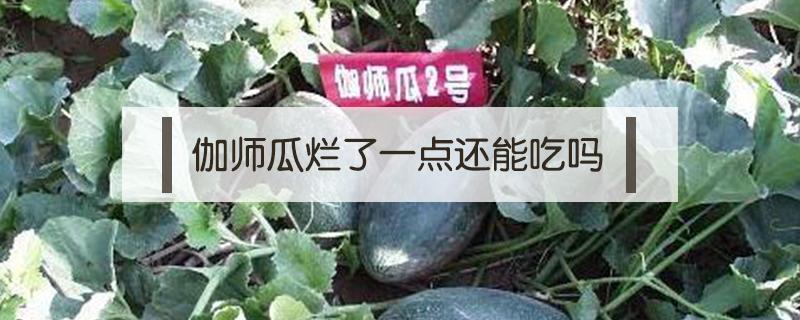 伽师瓜烂了一点还能吃吗 伽师瓜吃了会上火吗