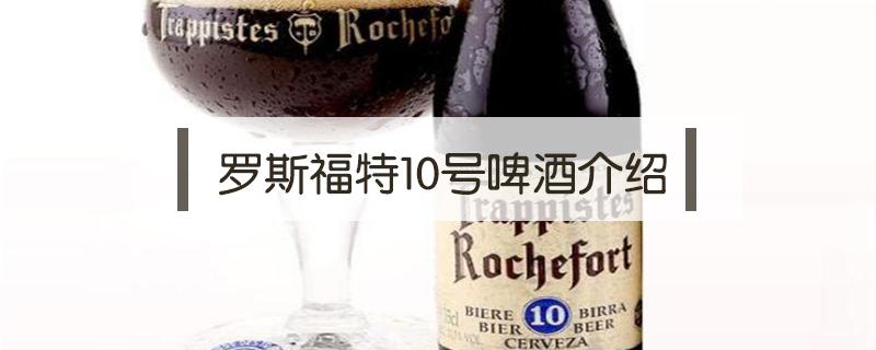 罗斯福特10号啤酒介绍（罗斯福特10号啤酒介绍多少度）