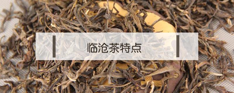 临沧茶特点 临沧茶特点是什么