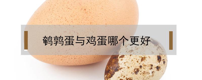 鹌鹑蛋与鸡蛋哪个更好 鹌鹑蛋和鸡蛋相比哪个好