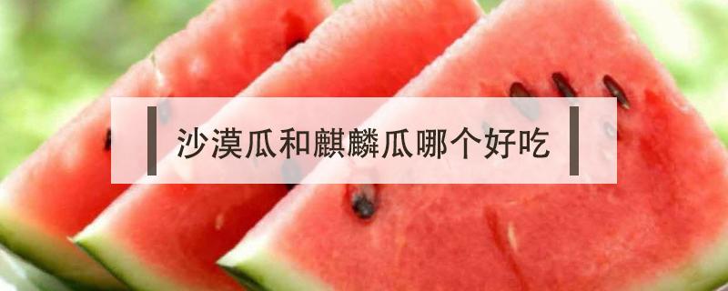 沙漠瓜和麒麟瓜哪个好吃（为什么麒麟瓜比沙漠瓜贵）