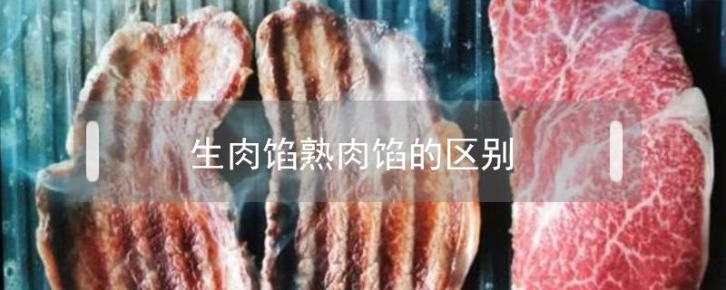 生肉馅熟肉馅的区别（生肉馅和熟肉馅的区别）