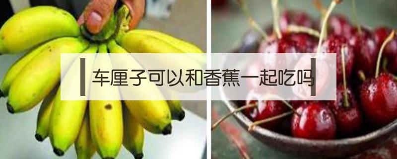 车厘子可以和香蕉一起吃吗（香蕉苹果车厘子可以一起吃吗）
