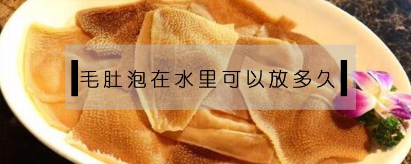 毛肚泡在水里可以放多久(毛肚在水里可以泡多少天)