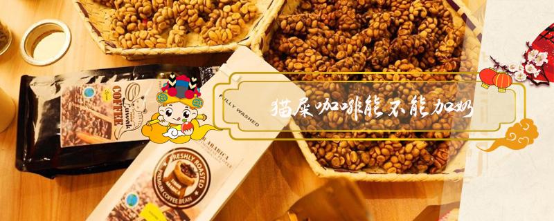 猫屎咖啡能不能加奶 猫屎咖啡不加糖