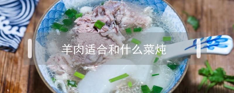 羊肉适合和什么菜炖 羊肉适合和什么菜炖不上火