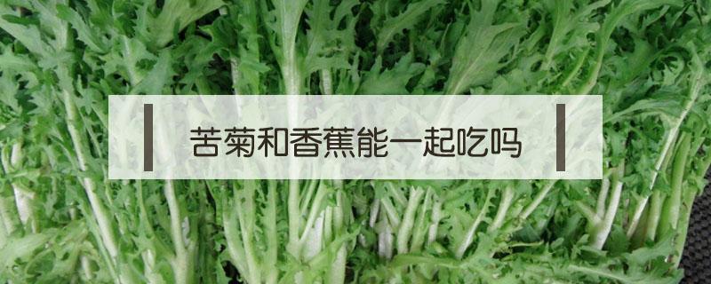 苦菊和香蕉能一起吃吗（橘子和香蕉能一起吃吗）