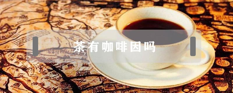 茶有咖啡因吗