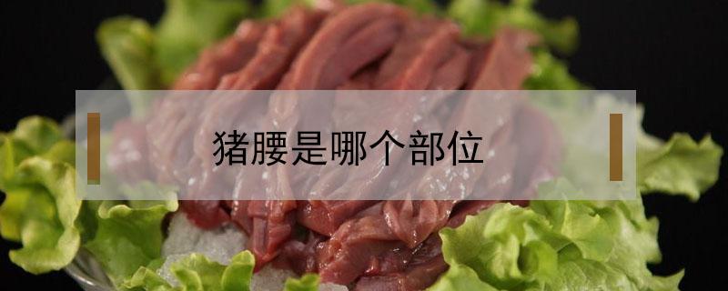 猪腰是哪个部位 猪腰肉是哪个部位