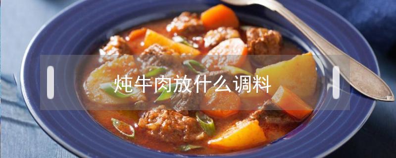 炖牛肉放什么调料 炖牛肉放什么调料比较容易烂