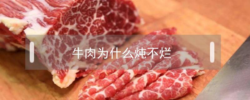 牛肉为什么炖不烂 牛肉为什么炖不烂呢