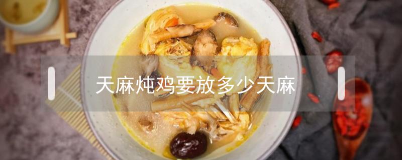 天麻炖鸡要放多少天麻（新鲜天麻炖鸡放多少天麻）