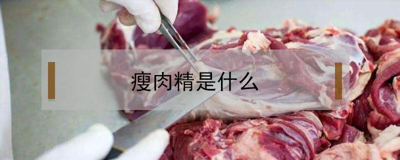 瘦肉精是什么（瘦肉精是什么东西有什么危害）