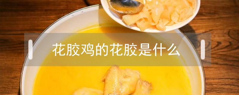 花胶鸡的花胶是什么 花胶鸡的花胶是啥