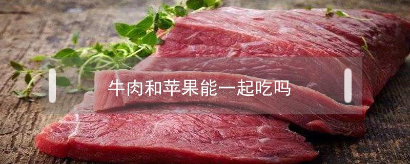 牛肉和苹果能一起吃吗（牛肉和苹果可以一起吃）