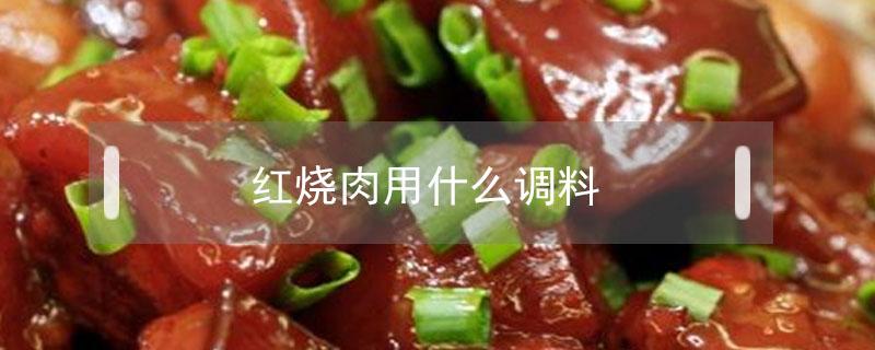 红烧肉用什么调料（红烧肉用什么调料做）