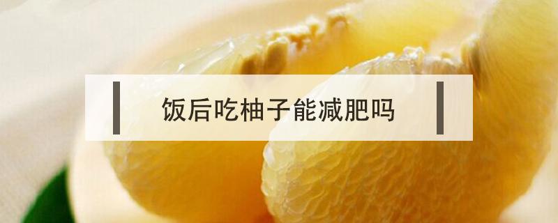 饭后吃柚子能减肥吗 饭后吃柚子可以减肥吗