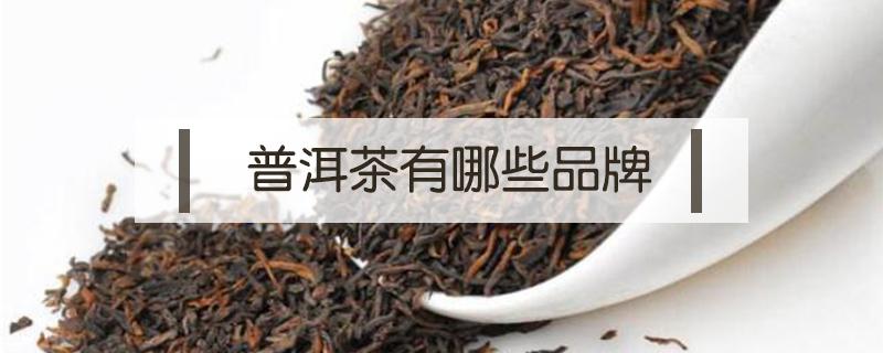 普洱茶有哪些品牌（普洱茶有哪些牌子）