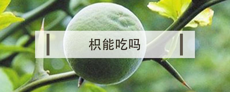 枳能吃吗 枳实可以直接吃吗