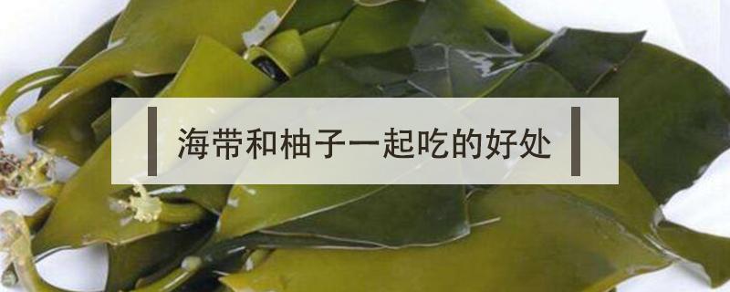 海带和柚子一起吃的好处（海带和柚子能一起吃吗）