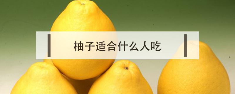 柚子适合什么人吃（柚子不适合什么人吃）