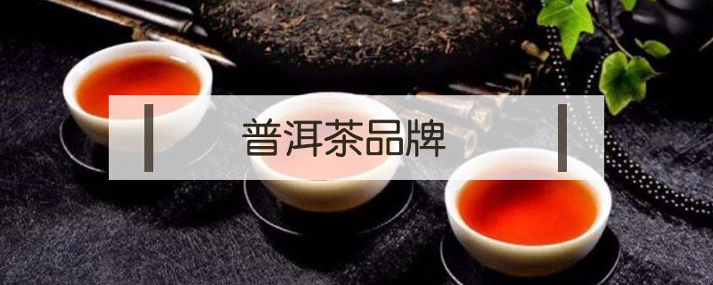 普洱茶品牌（普洱茶品牌有哪些）