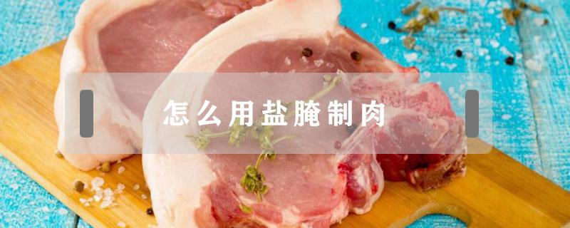 怎么用盐腌制肉（用盐怎样腌肉）