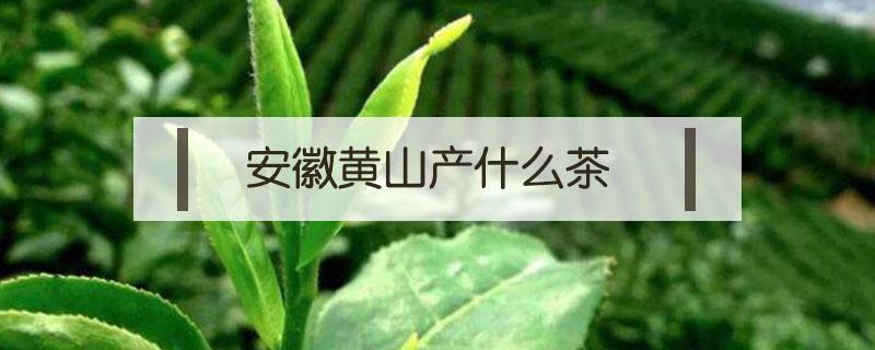 安徽黄山产什么茶（安徽黄山最有名的茶是什么茶）