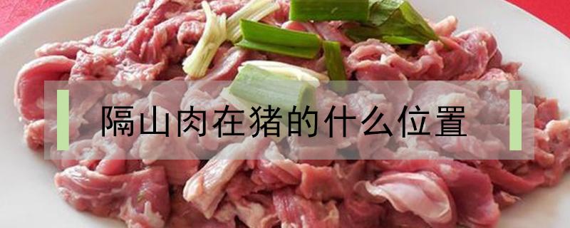 隔山肉在猪的什么位置（猪肉隔山肉是哪个部位）