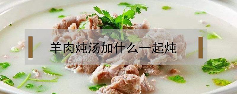 羊肉炖汤加什么一起炖 羊肉汤加什么一起炖汤