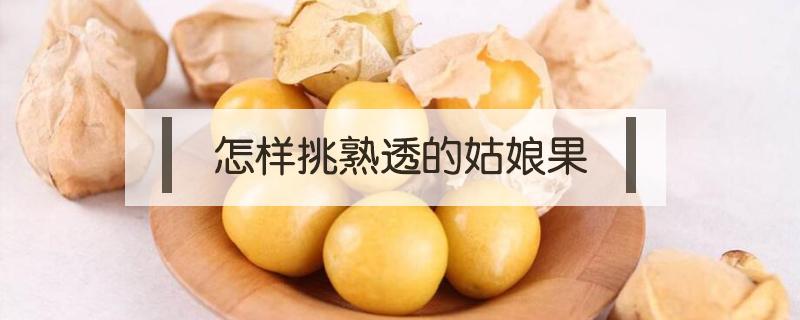 怎样挑熟透的姑娘果（姑娘果怎么知道熟了）