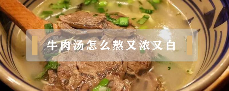 牛肉汤怎么熬又浓又白（牛肉汤怎么做的又白又浓）