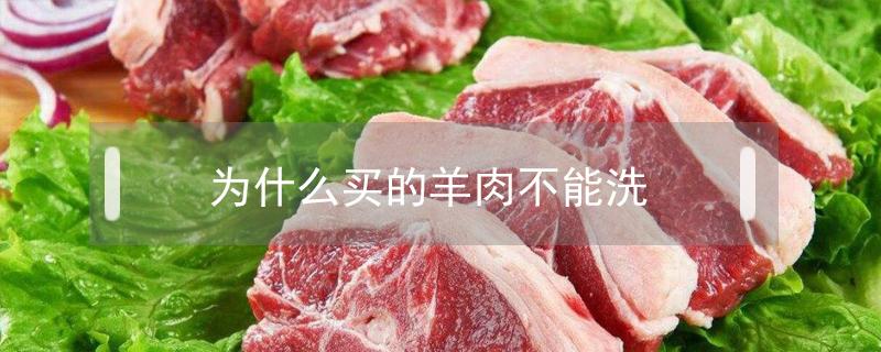 为什么买的羊肉不能洗（羊肉洗不洗能吃吗）