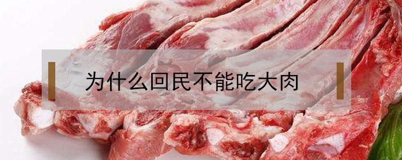 为什么回民不能吃大肉 回民不吃哪些肉