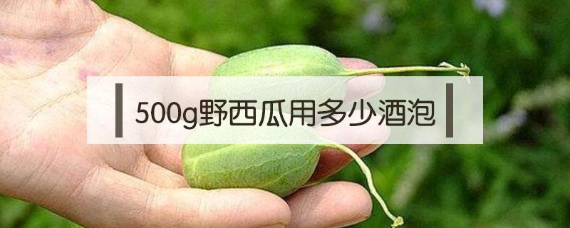 500g野西瓜用多少酒泡（野西瓜泡酒分量）