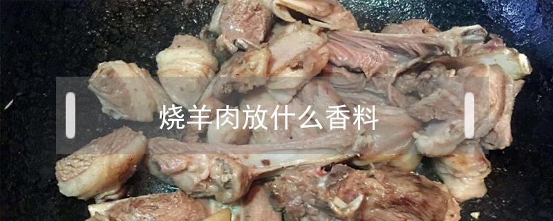 烧羊肉放什么香料（烧羊肉放什么香料去腥）