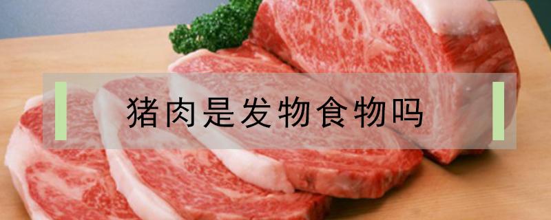 猪肉是发物食物吗