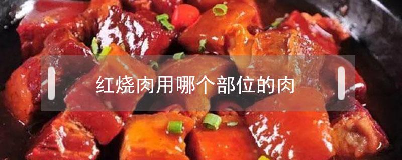 红烧肉用哪个部位的肉（红烧肉用哪个部位的肉最好图片）